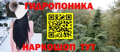 эйфоретик Краснодар
