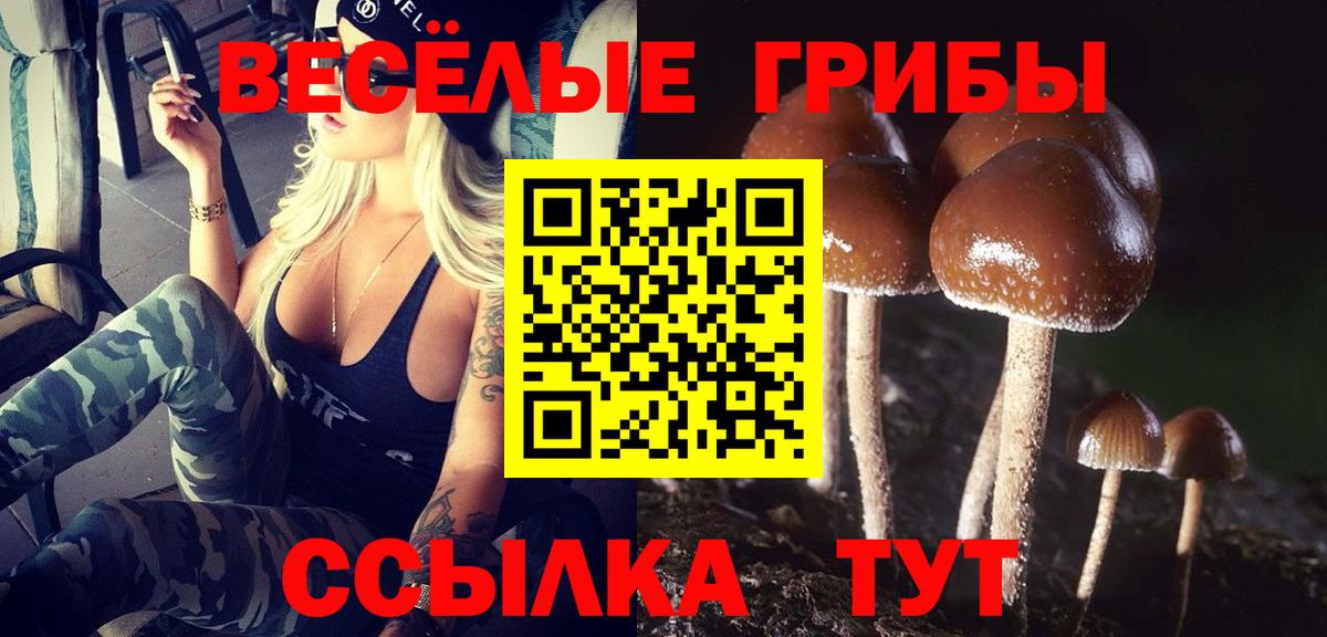 Галлюциногенные грибы Magic Shrooms Ивантеевка